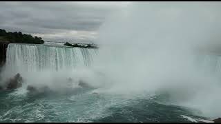 74d55944 8cbe 41a0 bc6c e1a04f67f453