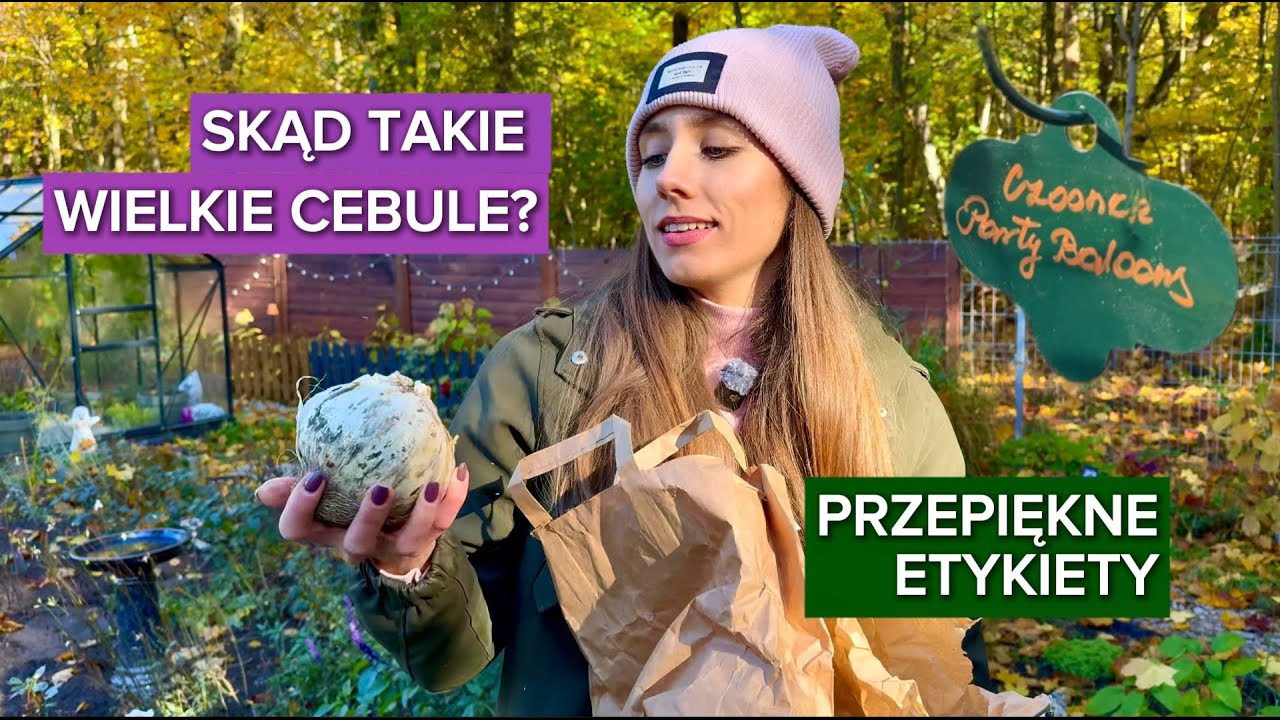 SADŹ I OZNACZAJ CEBULOWE TERAZ, A PODZIĘKUJESZ SOBIE WIOSNĄ🌷. Sprawdzone sklepy, trwałe etykiety.