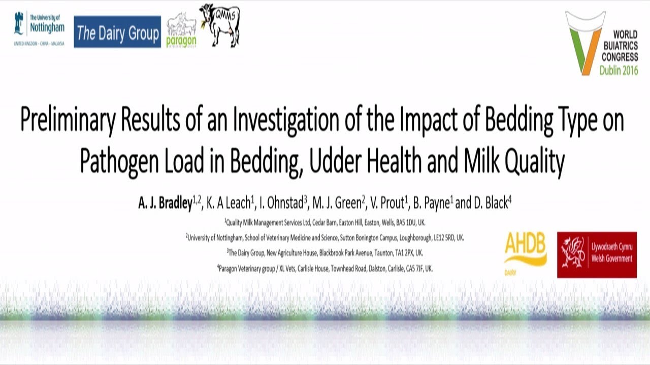Impact of Bedding Type on Pathogen Load in Bedding, Udder Health and Milk Quality