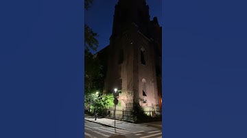 Thumbnail of Sounds of Early Morning in New York City 4:50 AM EST Birds & Sirens