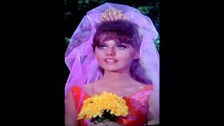 A Tribute to the Beauty of Dawn Wells