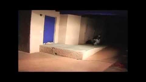 Rest In Paradise // Josh Luczak