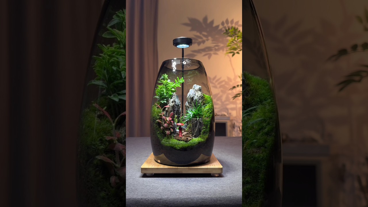 Beautiful Terrarium Plant tutorial 