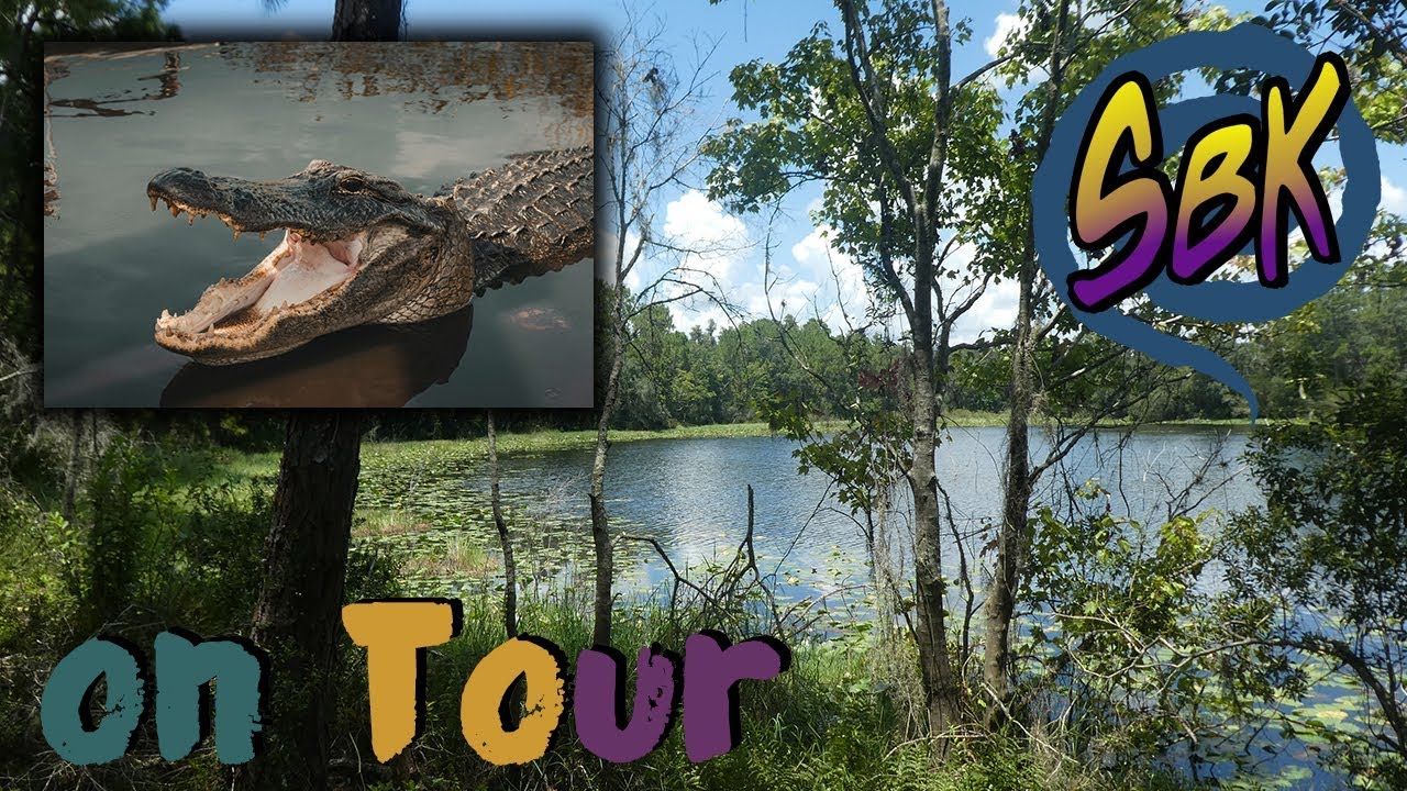 Tampa Lower Hillsborough Wilderness Wanderung! Morris Bridge & Trout