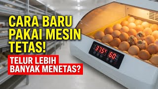 NEW WAY to Use an Automatic Egg Incubator! Do More Eggs Hatch?