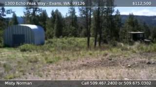 1300 Echo Peak Way video tour