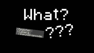 [EPILEPSY WARNING] What code is executed when CamSys starts up?