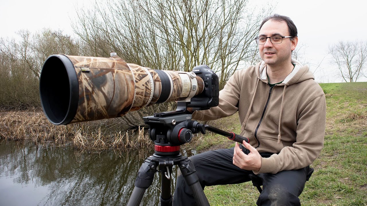 野鳥撮影に！Canon EF 500mm F4 IS Bird Photography Tips: My Mini Project for Spring (EF 500mm f/4