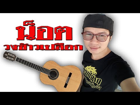 น็อต วงข้าวเปลือก/Cover