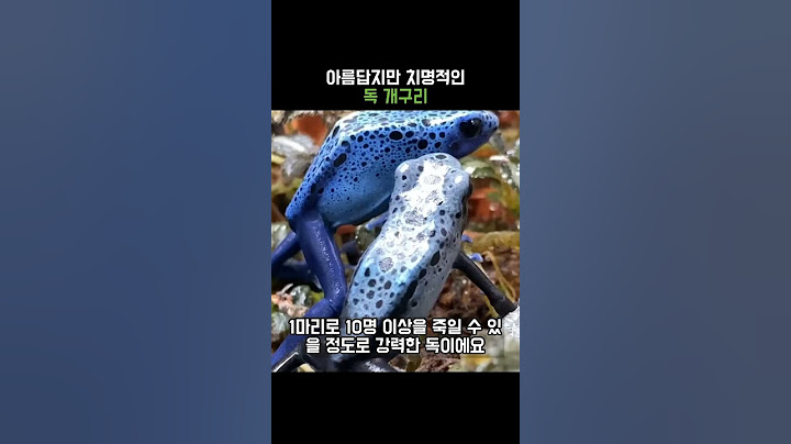 아름답지만 치명적인 독개구리 #독 #개구리 #치명적인
