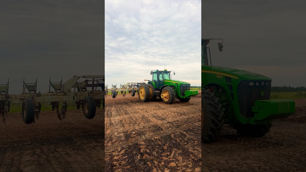 Wheat Straw Fertilizer Value