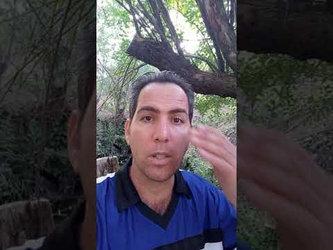 مجوز بند ب استعلام مجوز آژانس هواپیمایی قسمت اول