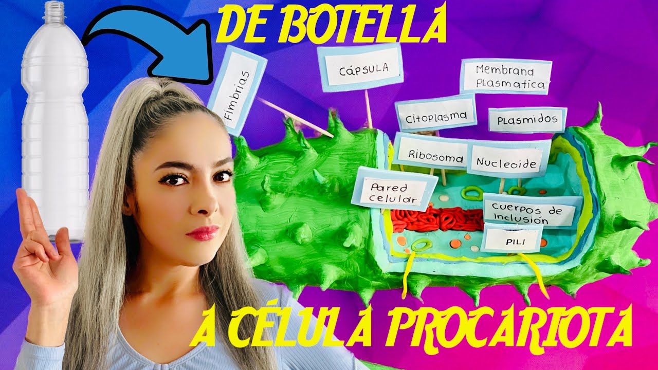 Maqueta de la célula y sus partes paso a paso, cell mockup   #célula #maqueta
