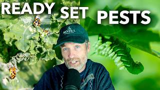 Getting Ready for Pests with a Total Pest Show