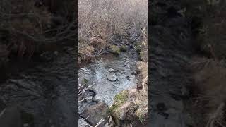 Erzurumlu İsmail Sari Nenni Yarim Nenni