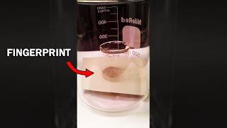 Revealing Fingerprints With Iodine