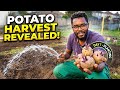 ​How to Plant Potatoes: Perfect Spacing for a Huge Harvest on smaller gardens