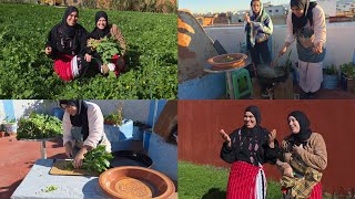 Download Lagu هدا نهار الصلح بين عزيزة وفاطمة الزهرة 😢😂 شوفو شنو وجدو الذ وصفة فوق الكانون 🔥 MP3