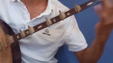 Học đàn nguyệt đơn giản