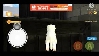 Famous top of hide a secret in Kitten cat simulator Profile