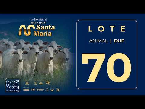 LOTE 70  FSMA 2398 2573