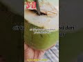 TAU KAH KALIAN?? PROSES TERBENTUKNYA AIR DARI BUAH KELAPA || SIMAK YA!!!