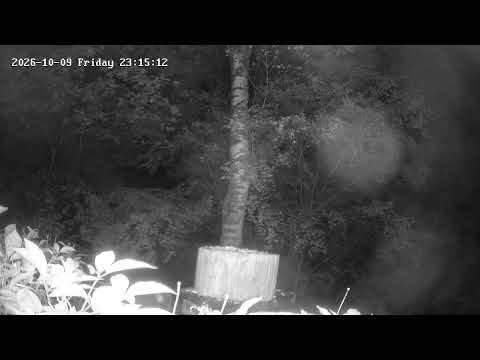 プチペンション蓼科壱番館 リスと小鳥の森 のライブ映像