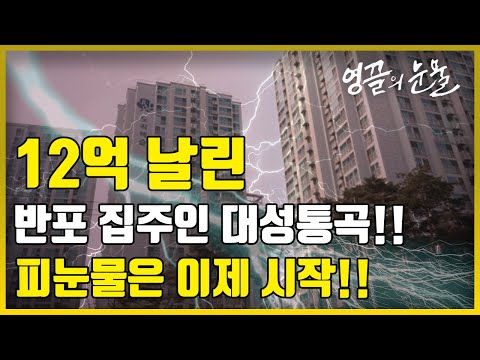 우리나라 가장 비싼 아파트 1년만에 12억이 사라진 이유?지금 동작구 아파트 가격으로 내려왔어요 [ 아파트 부동산 영끌족 매매 경매 ]