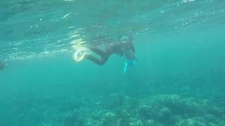 Nagannu Island   Okinawa