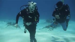 Robert the Aquanaut A Discussion