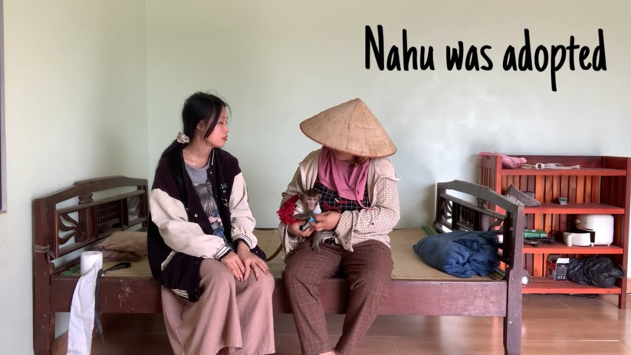 Наху усыновил хороший человек, когда Хыонга не было рядом.