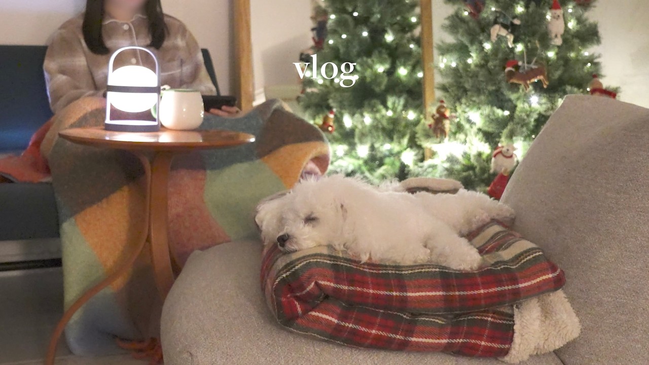 Life with My Toy Poodle | Подготовка к Рождеству, Осенние прогулки & Тихий вечер дома