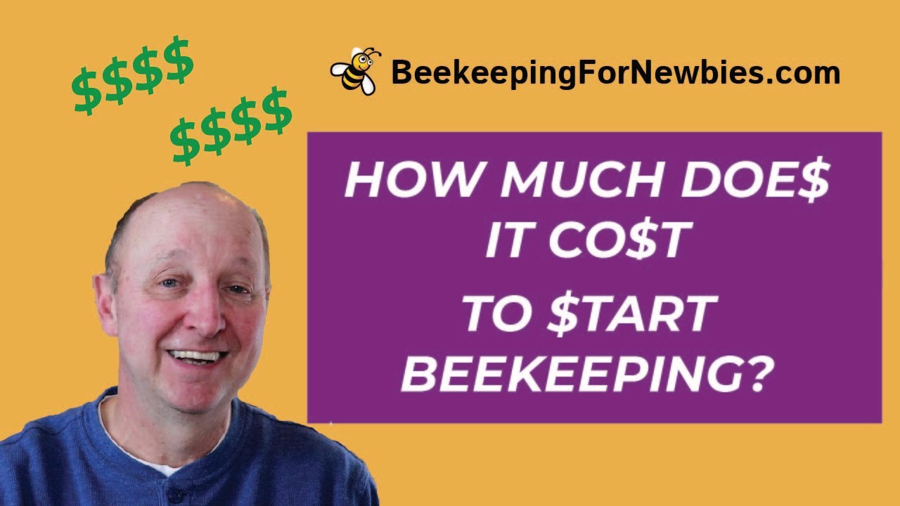 How Much Does It Cost To Start Beekeeping YouTube
