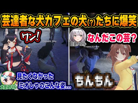 【#holoGTA】ついにオープンした犬カフェに押し寄せるも、見知った顔の犬が出てきて困惑と爆笑が止まらないホロメンたちw【ホロライブ/大神ミオ/戌神ころね/天音かなた/切り抜き】