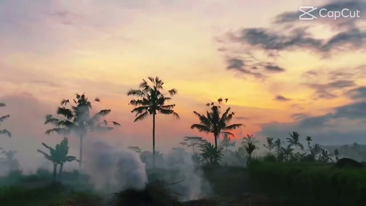 NATURE🌿💙🌸.........