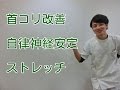 首のコリを改善して自律神経を安定させよう!