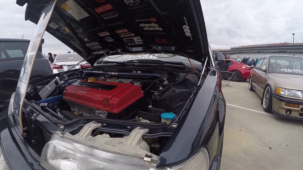 IA (Import Alliance) 2018 Spring Meet