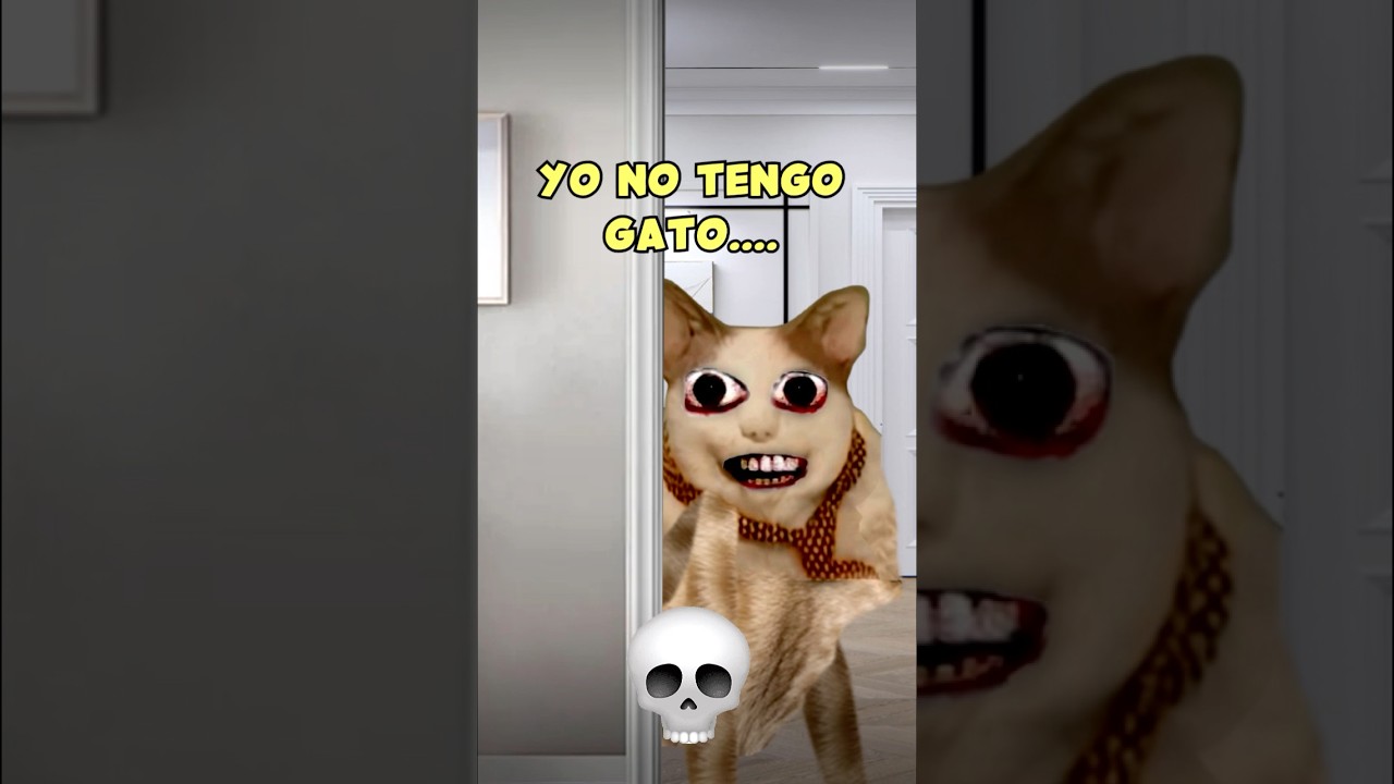 NO CONFÍES EN ESTE GATO, KUSH CAT VIENE…!☠️ 