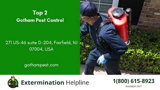 Top 3 Exterminators in Fairfield