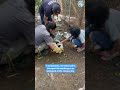 Part 1: Rehabilitated Monkeys Prepare For Freedom