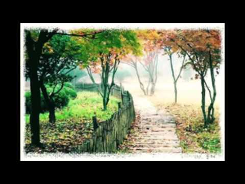 윤청-나들이 K-pop
