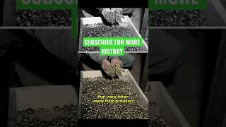 Rare Pictures Of Holocaust In Color