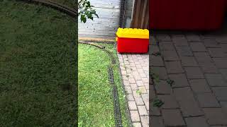 IMG 3777