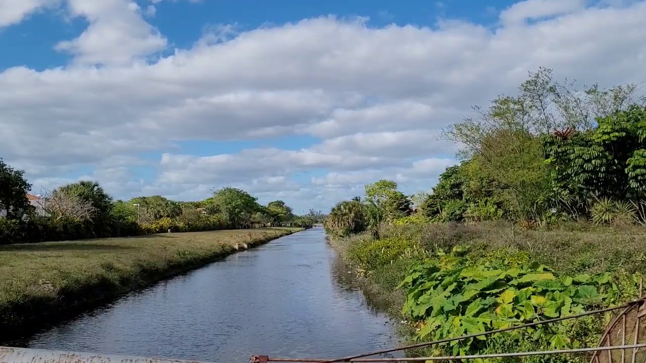 STIMULUS RELIEF BILL & PRINCE HARRY MEGHAN TELL ME WHAT YOU THINK