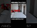 ハルビンのホテルが安すぎ　#中国 #ハルビン