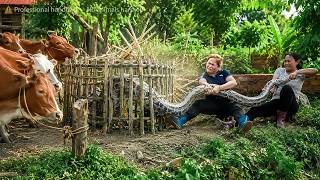 72 Hours No Escape: Giant Python Attacks Farm Animals As Two Girls Set A Trap!