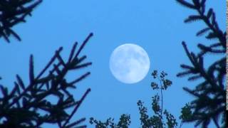 SUPERMOON SEPTEMBER 9, 2014