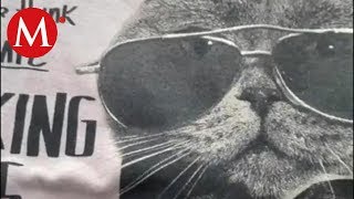 Cuidado Con El Perro Y Su Manual Para Violar Mujeres