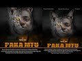 PAKA MTU Full Movie