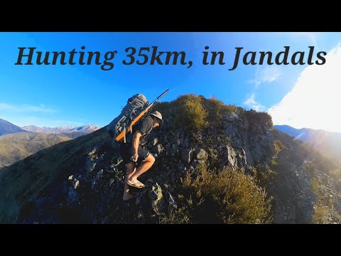 35km Deer Hunting in Flip Flops | 2000m vert over 4 days catch n cook